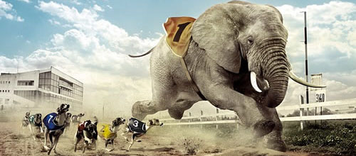 Elefante Elefante